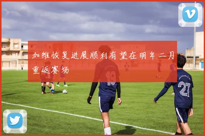 加维恢复进展顺利有望在明年二月重返赛场