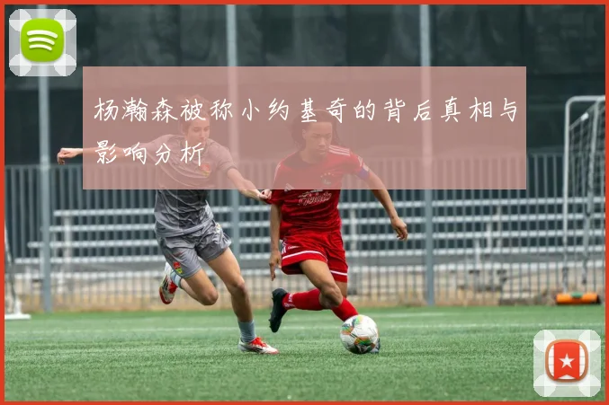杨瀚森被称小约基奇的背后真相与影响分析