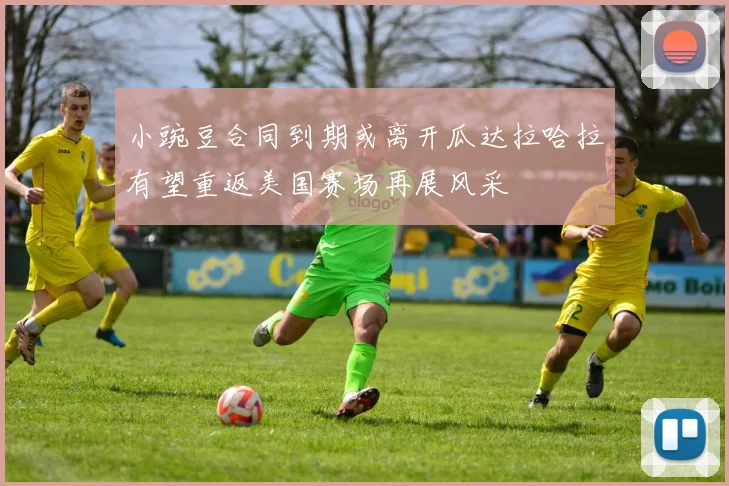 小豌豆合同到期或离开瓜达拉哈拉有望重返美国赛场再展风采