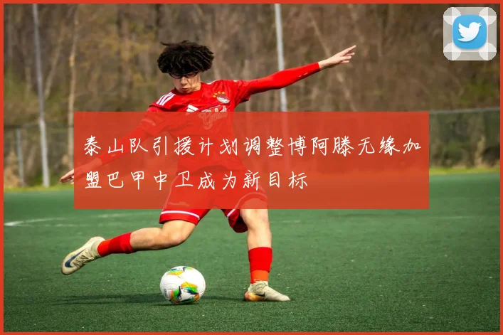 泰山队引援计划调整博阿滕无缘加盟巴甲中卫成为新目标