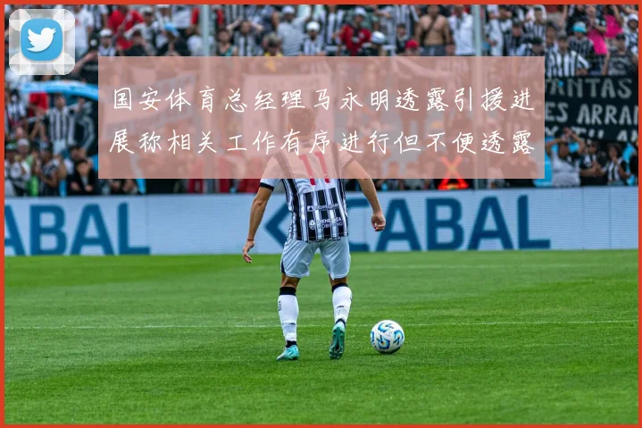 国安体育总经理马永明透露引援进展称相关工作有序进行但不便透露名字