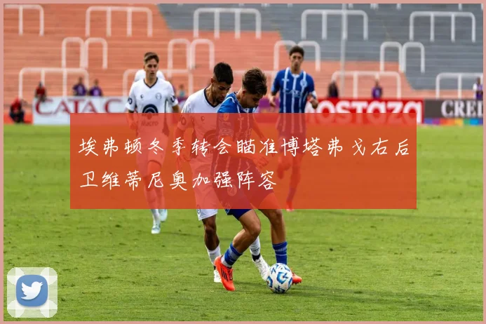 埃弗顿冬季转会瞄准博塔弗戈右后卫维蒂尼奥加强阵容