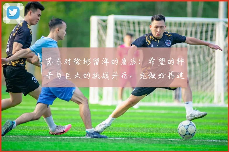 苏东对徐彬留洋的看法：希望的种子与巨大的挑战并存，先做好再追求完美