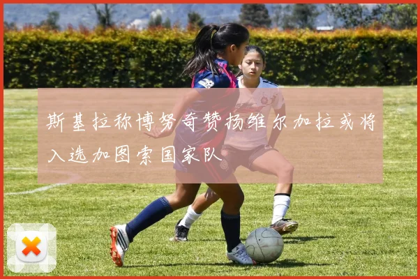 斯基拉称博努奇赞扬维尔加拉或将入选加图索国家队
