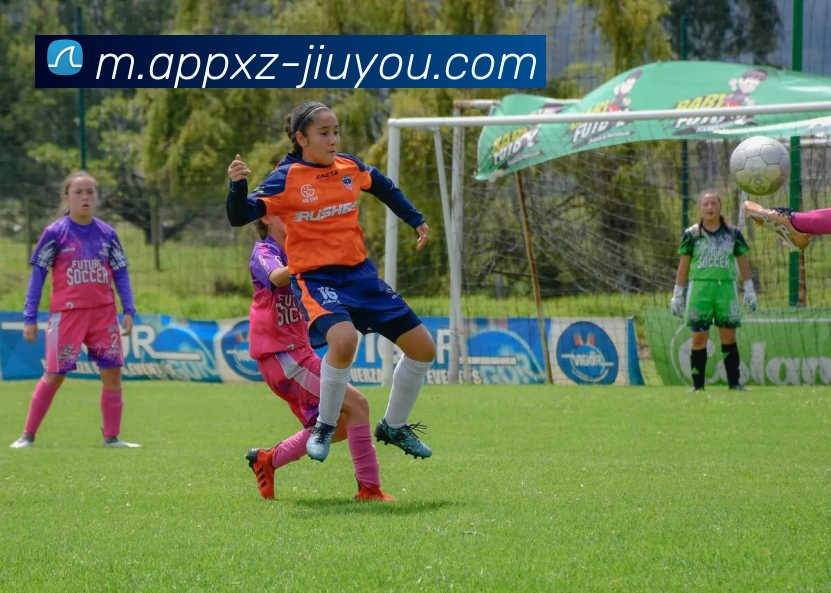 九游娱乐平台生态图